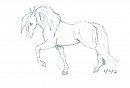 Horse Sketch