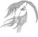 Spirit