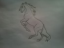 Rearing Horse