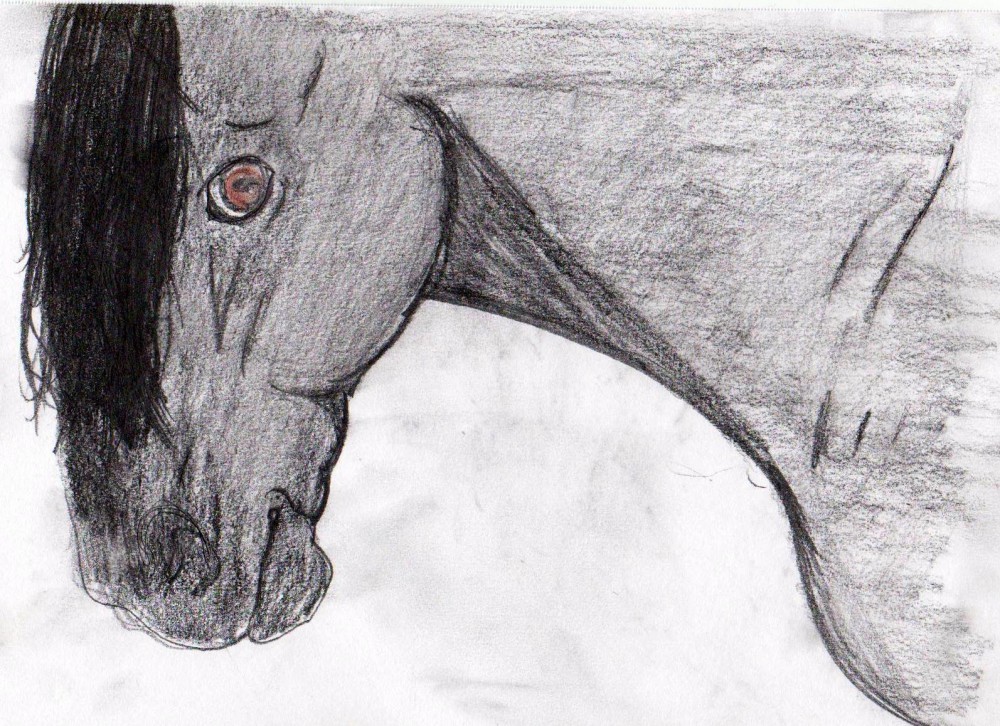 Black Horse