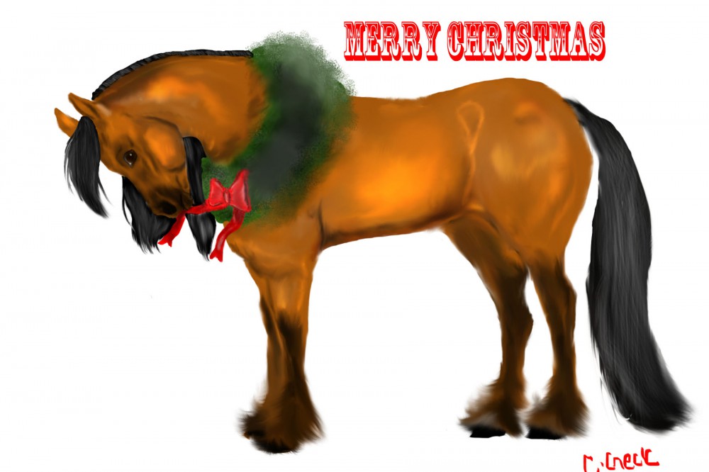 Merry Christmas
