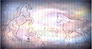 Spirit