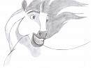 Galloping Spirit