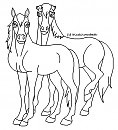 Scared Yearlings Lineart