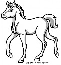 Walking foal lineart