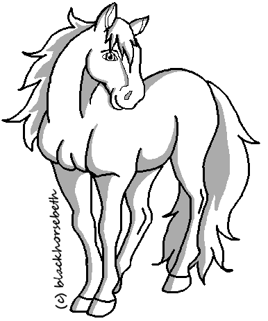 Standing Horse lineart