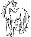 Standing Horse lineart