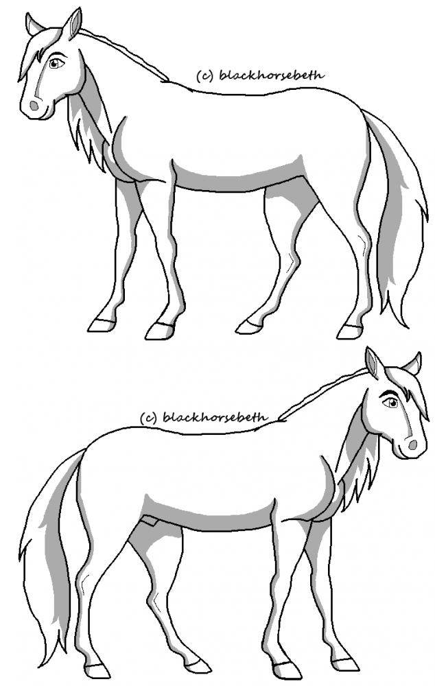 Mare and Stallion lineart