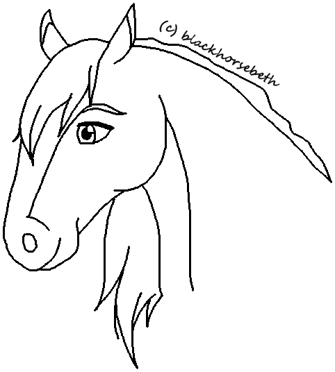 Head image 2