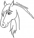 Head image 2