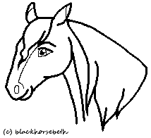Head image 3