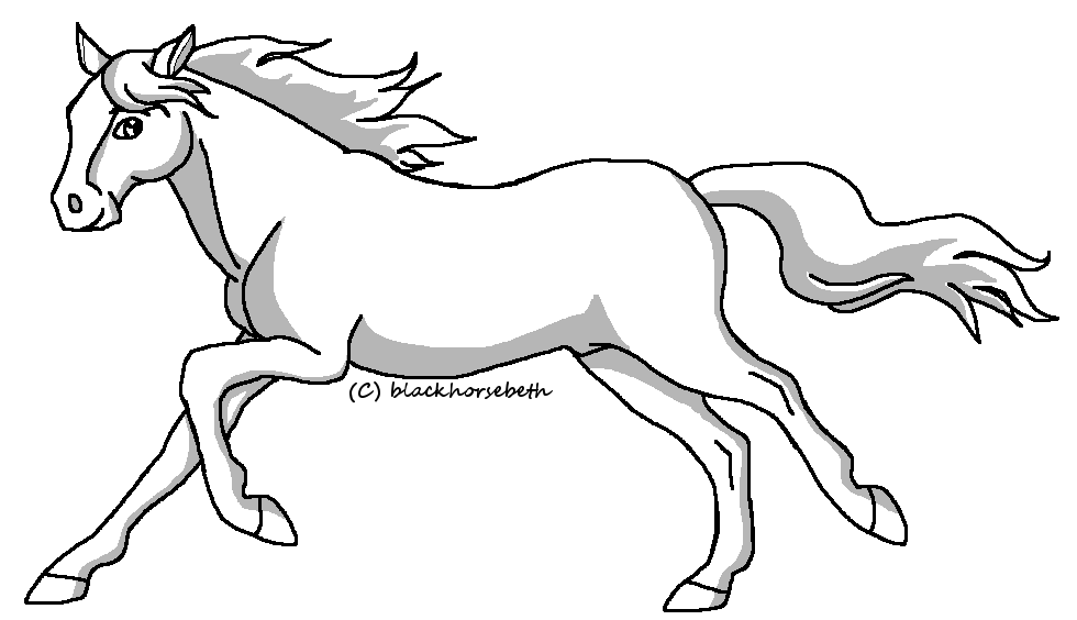 Stallion lineart