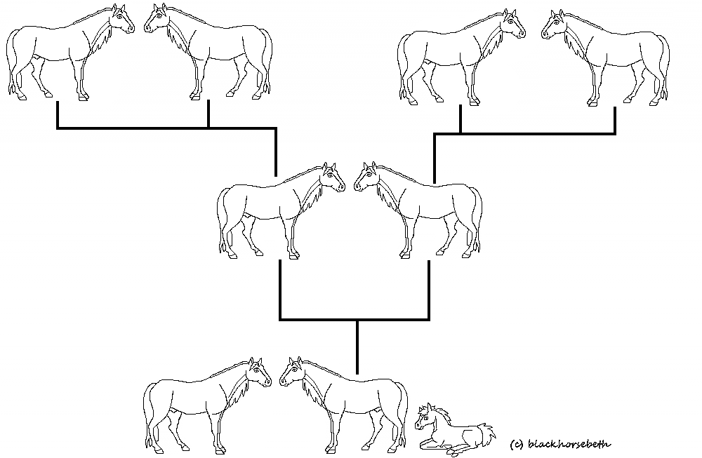 Family Tree
