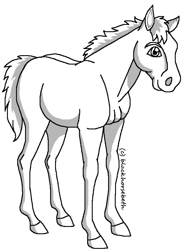 Standing foal lineart