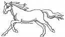 Stallion lineart