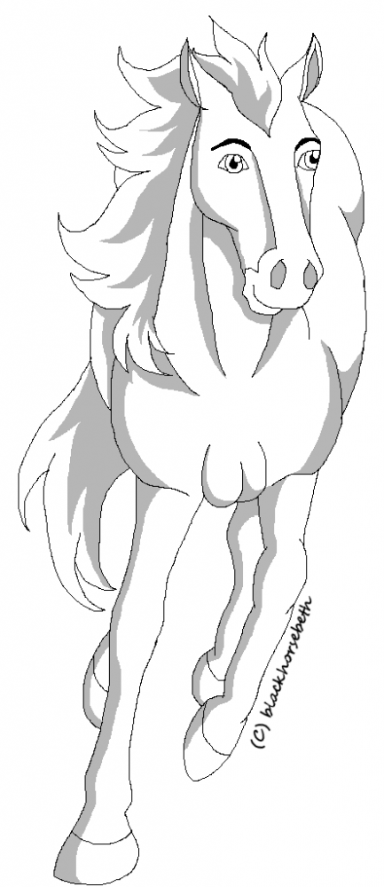 Horse lineart
