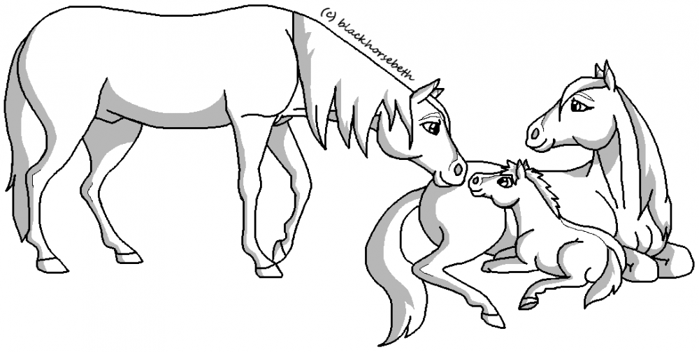 Family Lineart