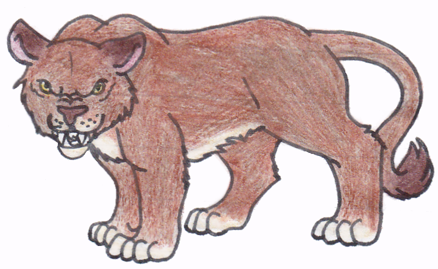 The Cougar