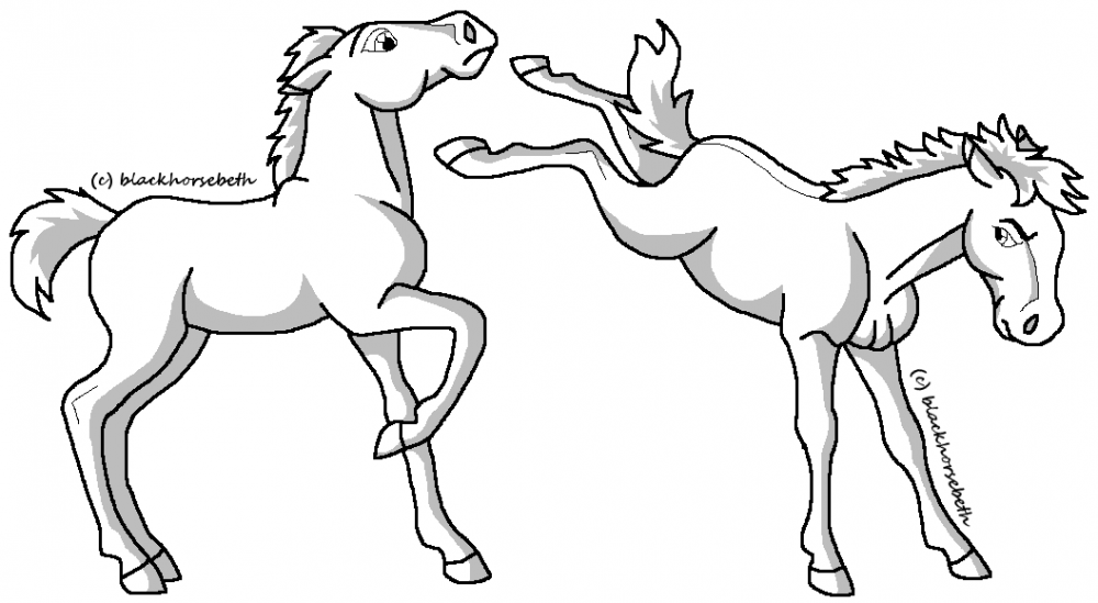 Fighting Foals lineart