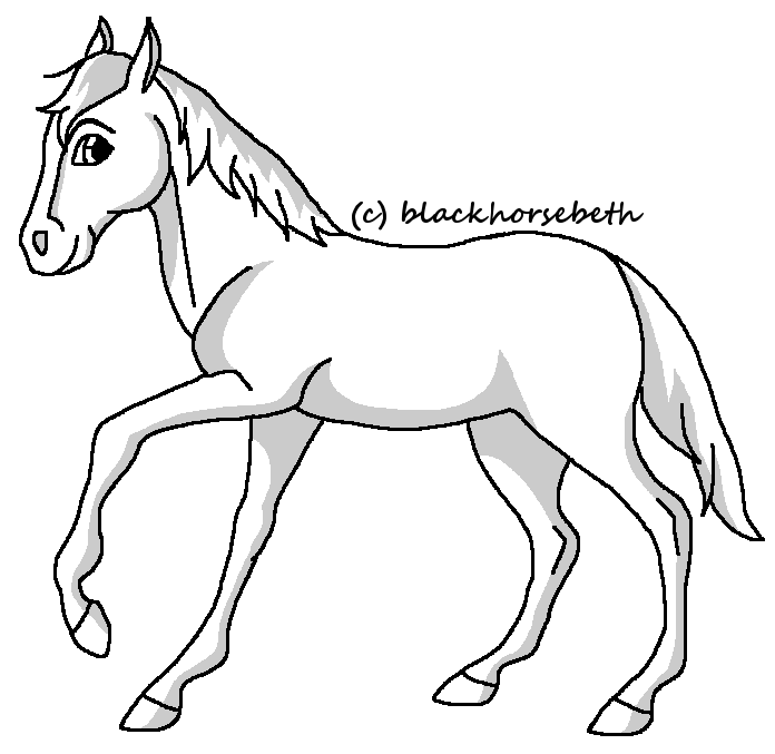 Weanling/Yearling lineart