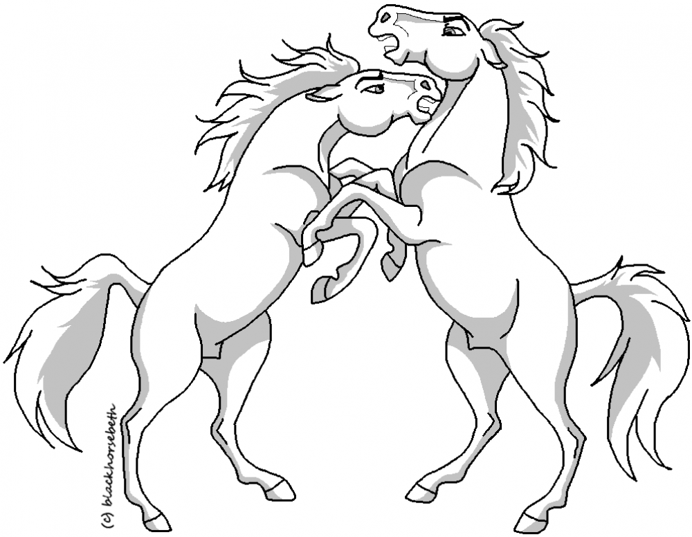 Fighting Stallions lineart