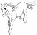horse 3 lineart