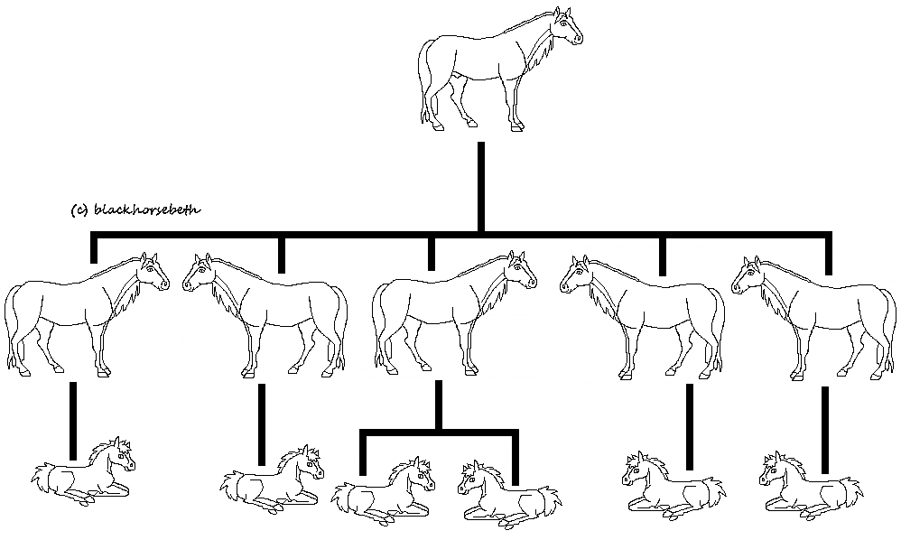 Herd/Lineage lineart