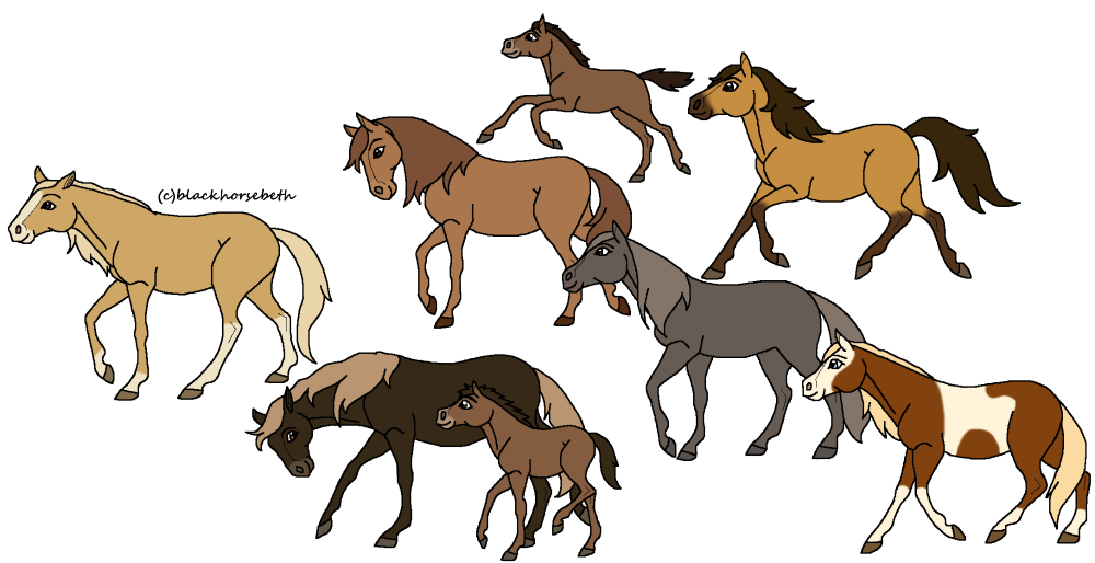 Cimarron Herd