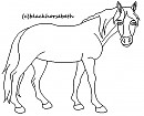 Horse Lineart