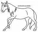 Mare Lineart