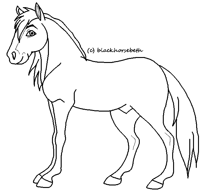 Stallion Lineart