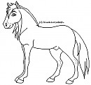Stallion Lineart