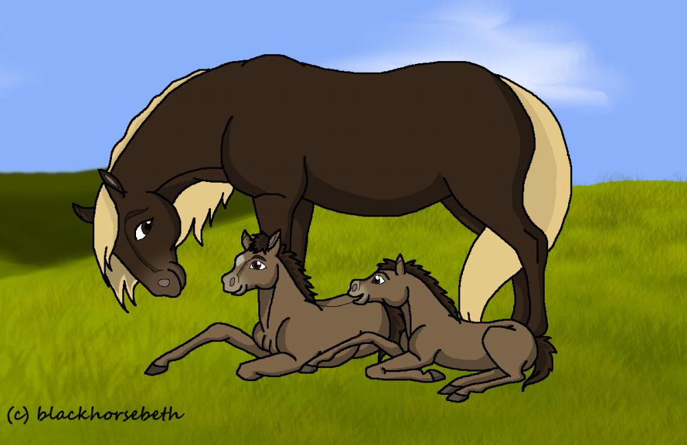 Twins are born