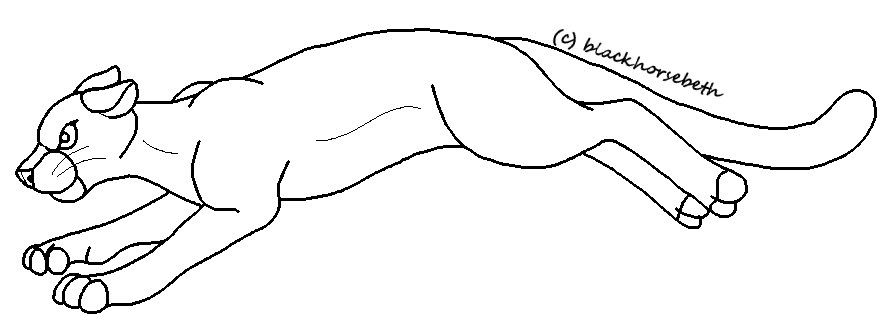 Cougar Lineart