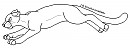 Cougar Lineart