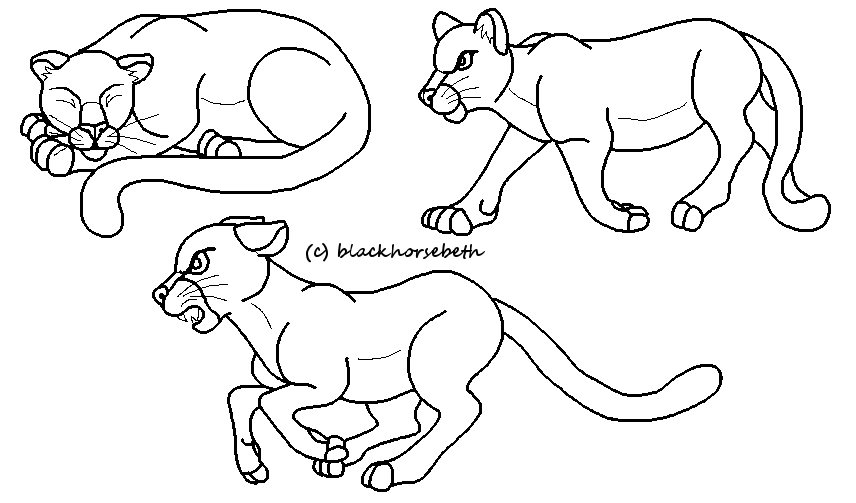 Cougars Lineart