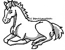 Lying Foal lineart