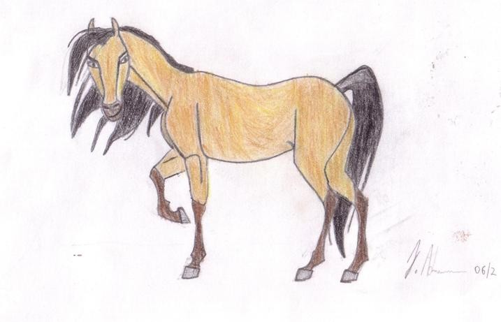 Spirit the Gold Stallion