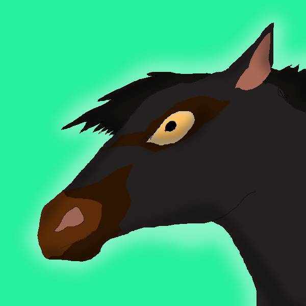 Tai' as a young colt