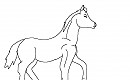 Free horse lineart