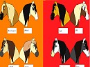Horses doodle