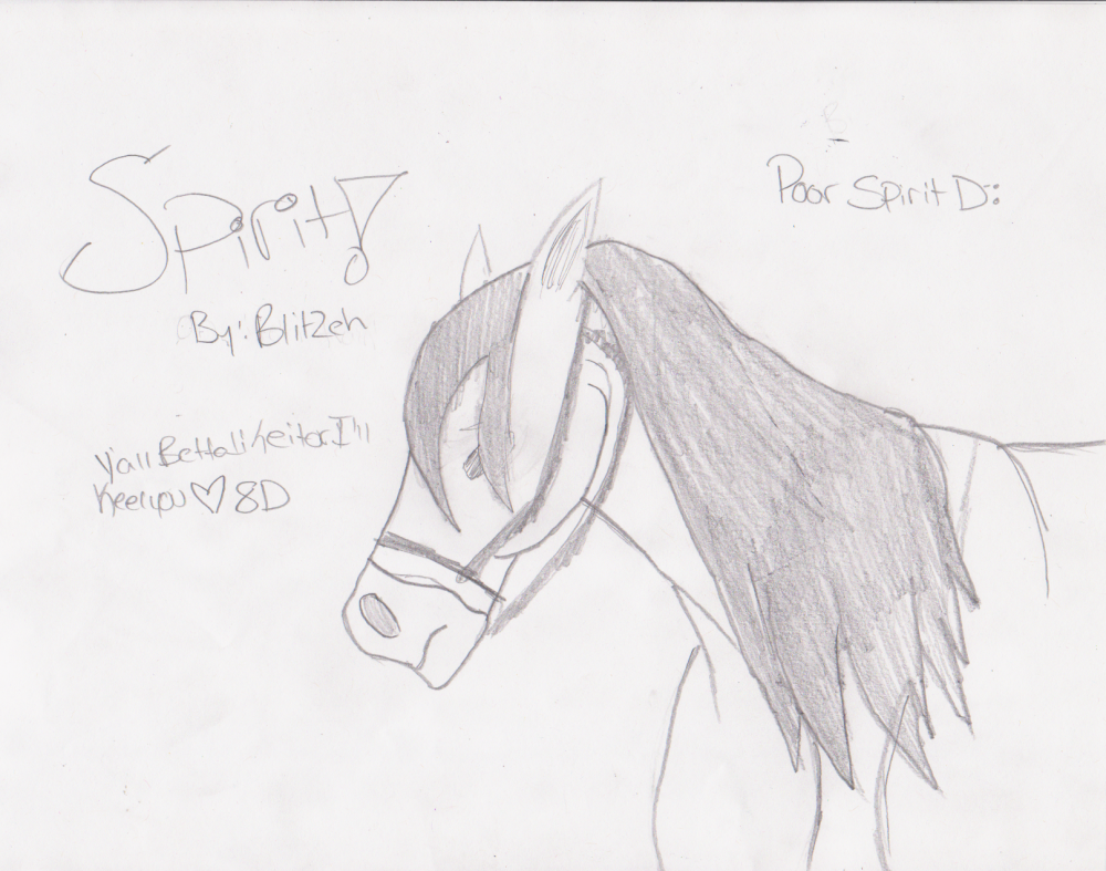 Spirit D: