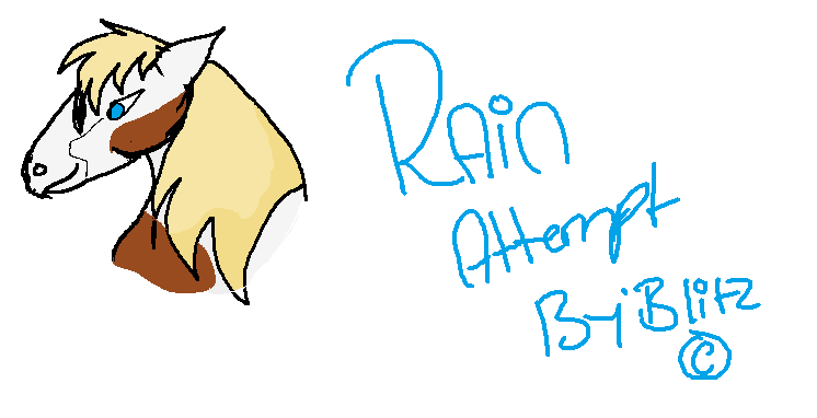 Rain Attempt.