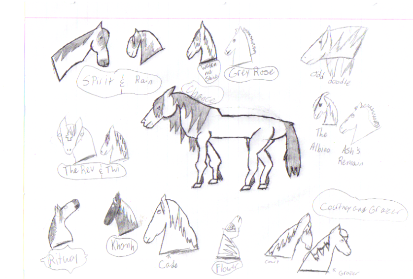 Horse doodles.