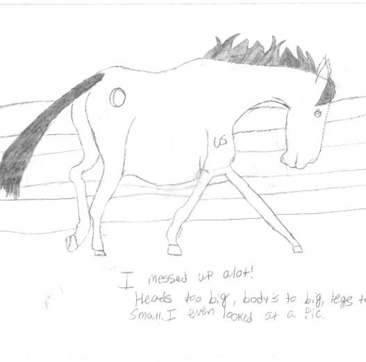 A drawing of him.