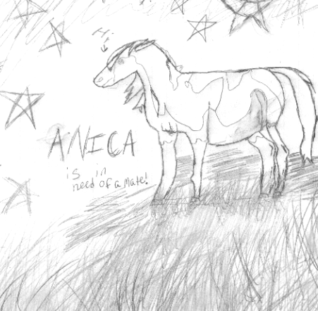 Anica
