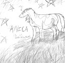 Anica