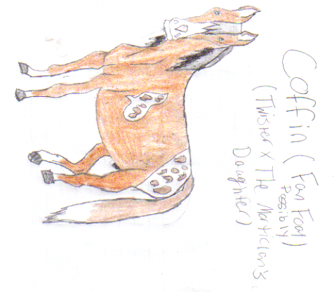 Possible Fan foal?