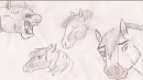 Howdy to Spirit Source!