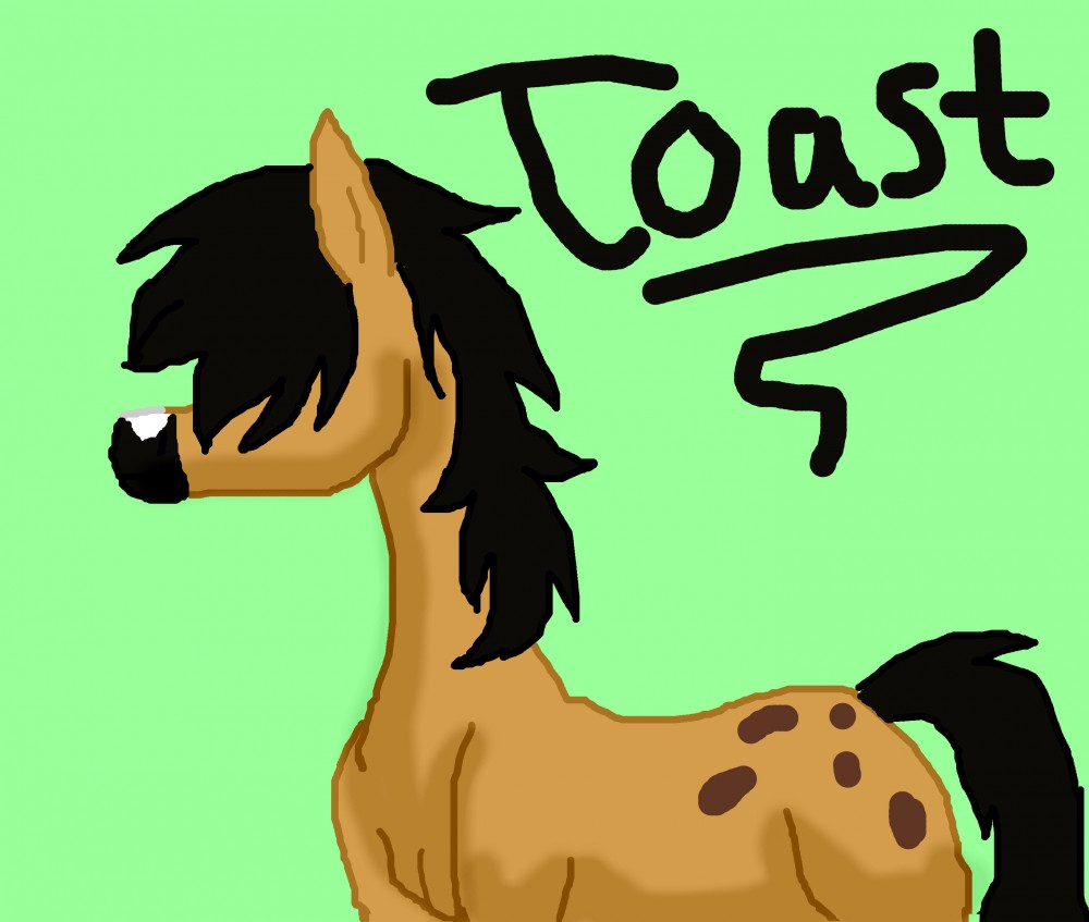 Toast-gift for Winda